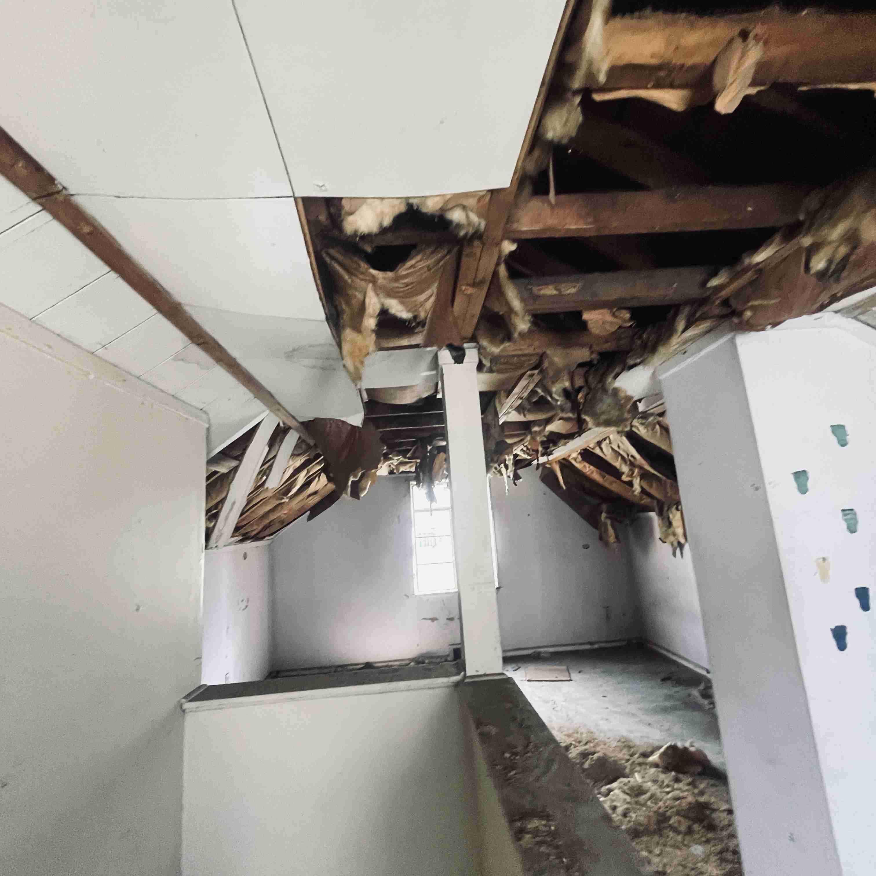 19220 Albany St (49).jpg